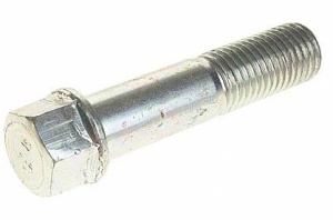 8f5745004c91.jpeg