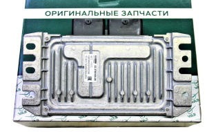 fd340f40d225.jpeg