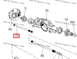 f1c52402a21a.png